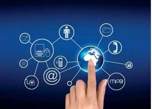 8月，佛山人的心弦被撥動 互聯網信息服務的溫情與考驗